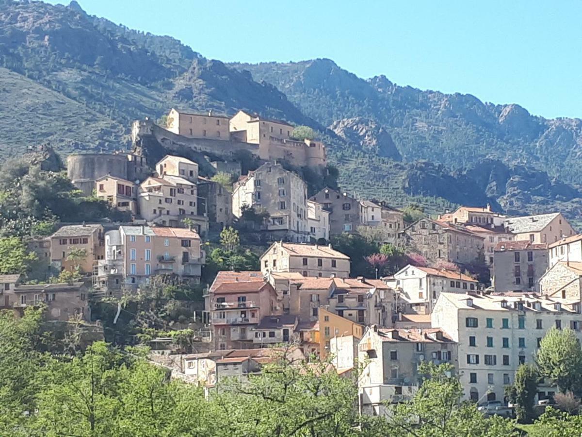 Charmant Studio Dans Residence Neuve Et Calme Corte  Luaran gambar